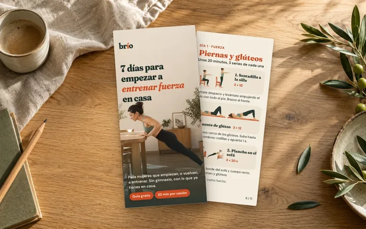 Guía gratis en PDF
