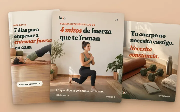 Contenido para redes