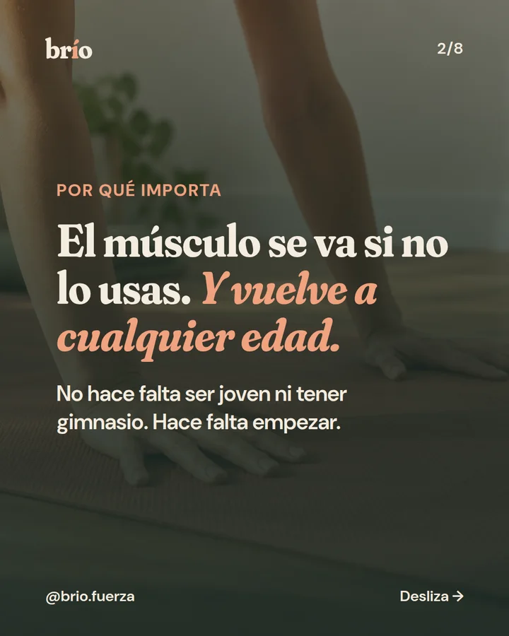 Diapositiva 2 de 8 del carrusel de brío. Por qué importa la fuerza