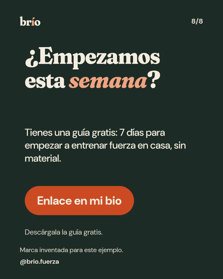 Diapositiva 8 de 8 del carrusel de brío. Llamada a la acción: enlace en la bio