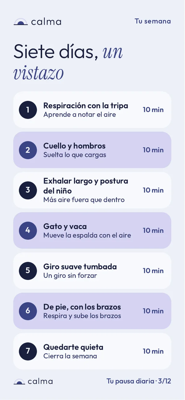 Página 3 de 12. Tu semana de un vistazo, con los siete días