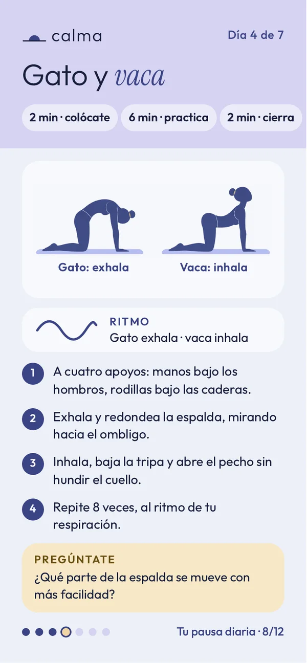 Página 8 de 12. Día 4: gato y vaca, con dos posturas dibujadas