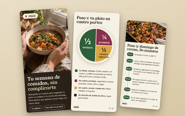 Guía gratis en PDF: Raíz