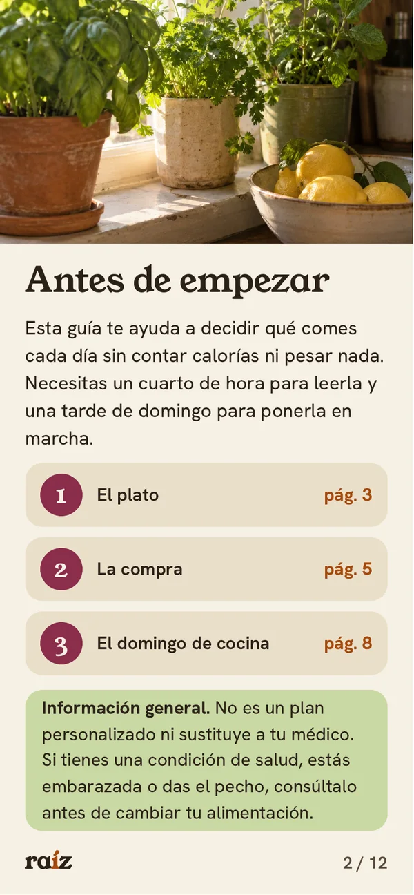 Página 2 de 12 de la guía de Raíz. Antes de empezar